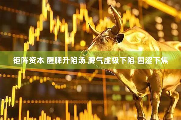 钜阵资本 醒脾升陷汤 脾气虚极下陷 固涩下焦