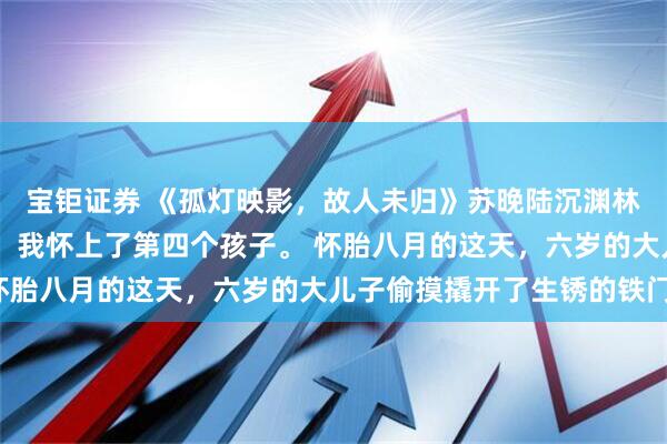 宝钜证券 《孤灯映影，故人未归》苏晚陆沉渊林若微 被软禁的第二年，我怀上了第四个孩子。 怀胎八月的这天，六岁的大儿子偷摸撬开了生锈的铁门。