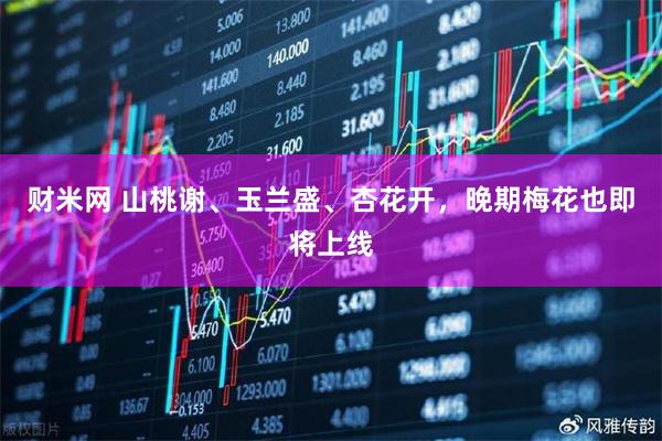财米网 山桃谢、玉兰盛、杏花开，晚期梅花也即将上线