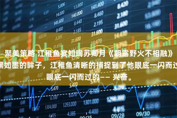 聚美策略 江稚鱼宴知珣苏卿月《朝露野火不相融》对上那双漆黑如墨的眸子，江稚鱼清晰的捕捉到了他眼底一闪而过的—— 兴奋。