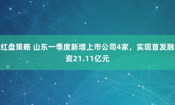 红盘策略 山东一季度新增上市公司4家，实现首发融资21.11亿元