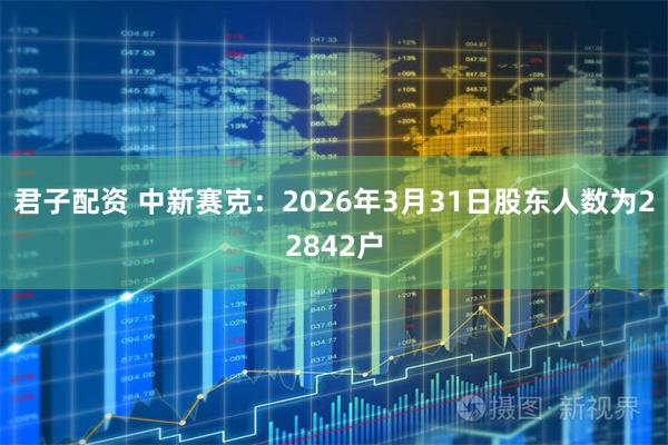 君子配资 中新赛克：2026年3月31日股东人数为22842户