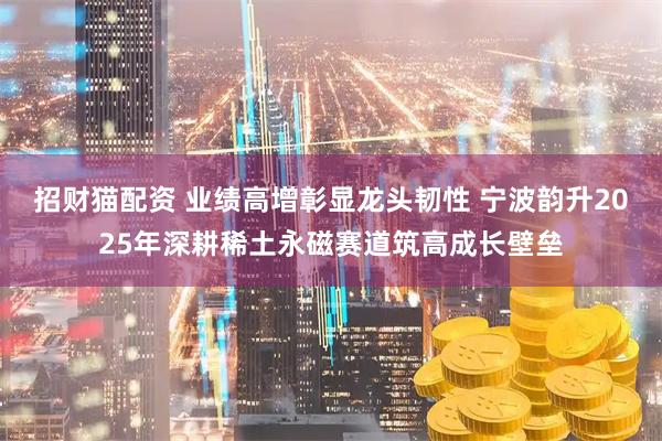 招财猫配资 业绩高增彰显龙头韧性 宁波韵升2025年深耕稀土永磁赛道筑高成长壁垒