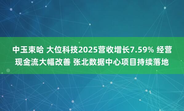 中玉束哈 大位科技2025营收增长7.59% 经营现金流大幅改善 张北数据中心项目持续落地
