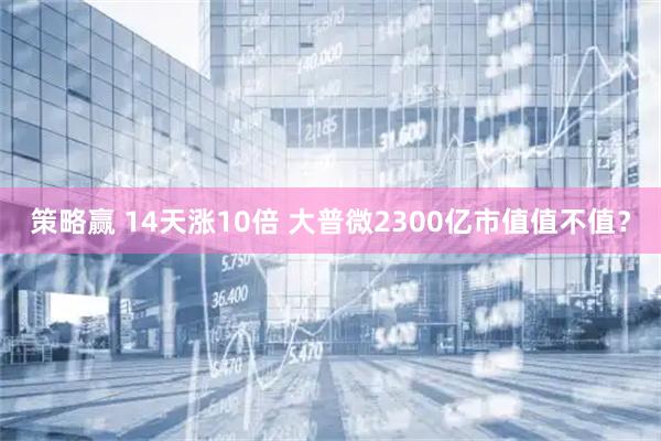 策略赢 14天涨10倍 大普微2300亿市值值不值？