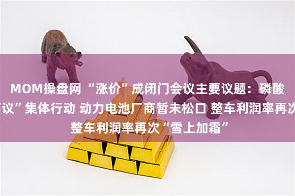 MOM操盘网 “涨价”成闭门会议主要议题：磷酸铁锂企业“商议”集体行动 动力电池厂商暂未松口 整车利润率再次“雪上加霜”