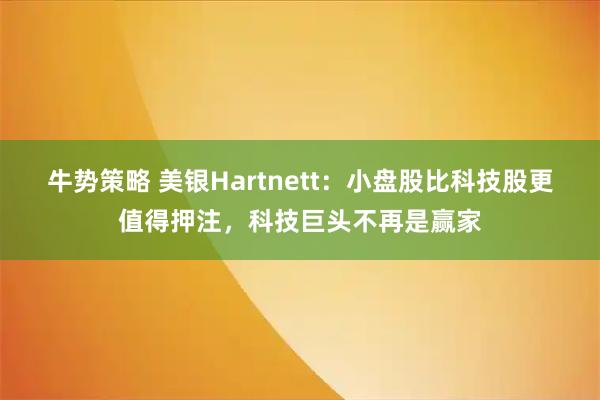 牛势策略 美银Hartnett：小盘股比科技股更值得押注，科技巨头不再是赢家