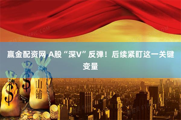 赢金配资网 A股“深V”反弹！后续紧盯这一关键变量