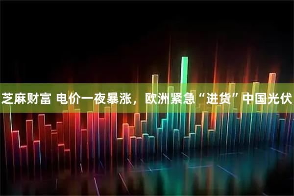 芝麻财富 电价一夜暴涨，欧洲紧急“进货”中国光伏