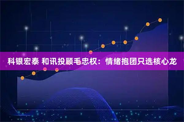 科银宏泰 和讯投顾毛忠权：情绪抱团只选核心龙