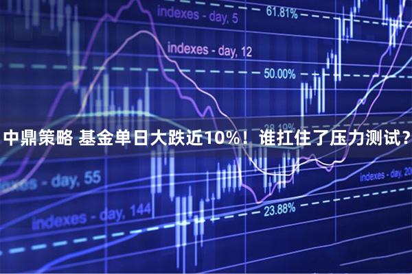 中鼎策略 基金单日大跌近10%！谁扛住了压力测试？