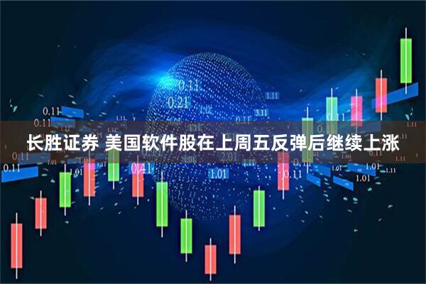 长胜证券 美国软件股在上周五反弹后继续上涨