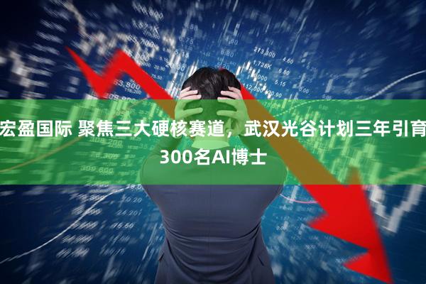 宏盈国际 聚焦三大硬核赛道，武汉光谷计划三年引育300名AI博士