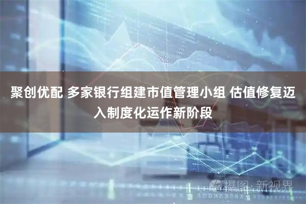 聚创优配 多家银行组建市值管理小组 估值修复迈入制度化运作新阶段